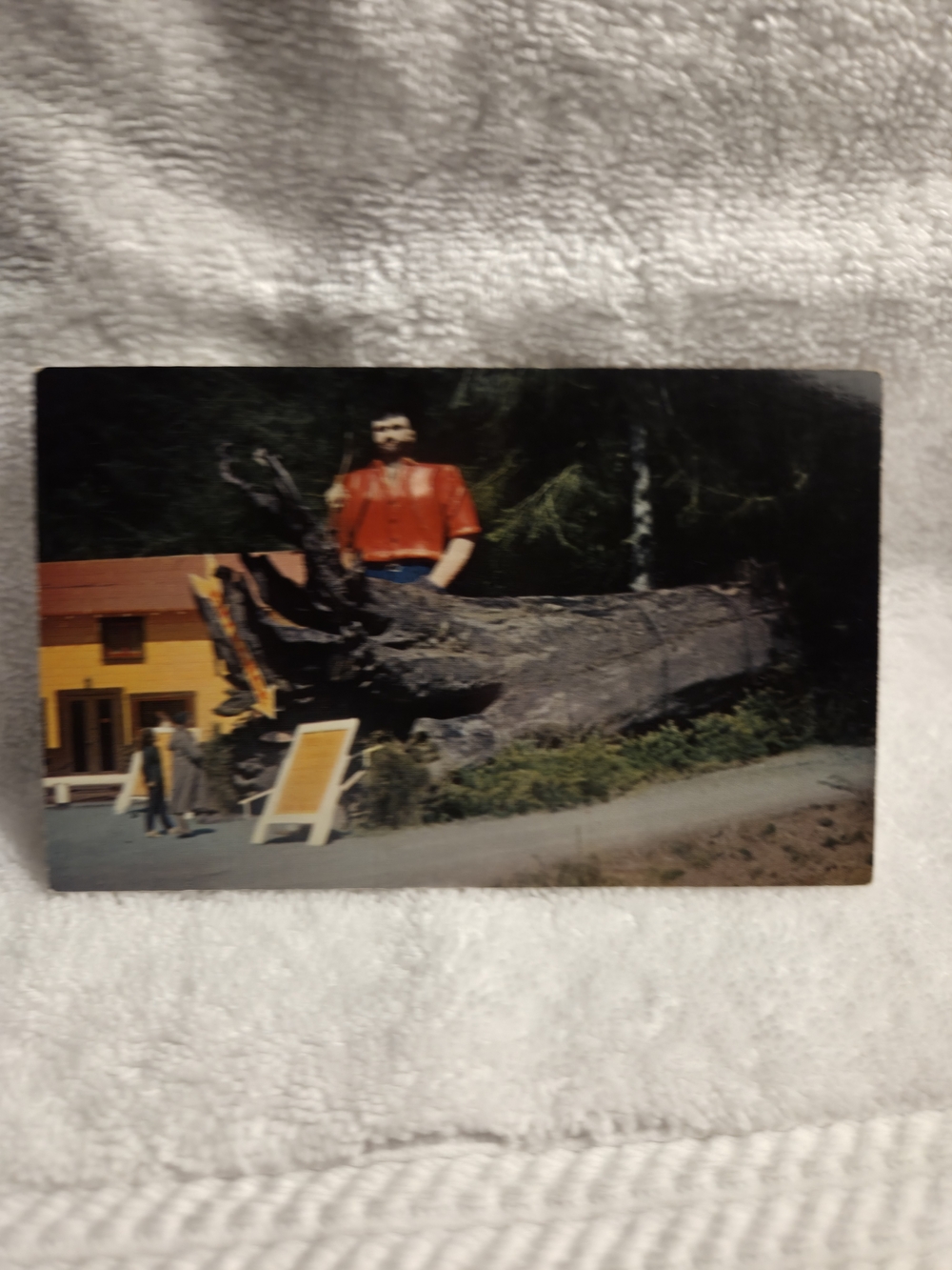 Vintage Post Card